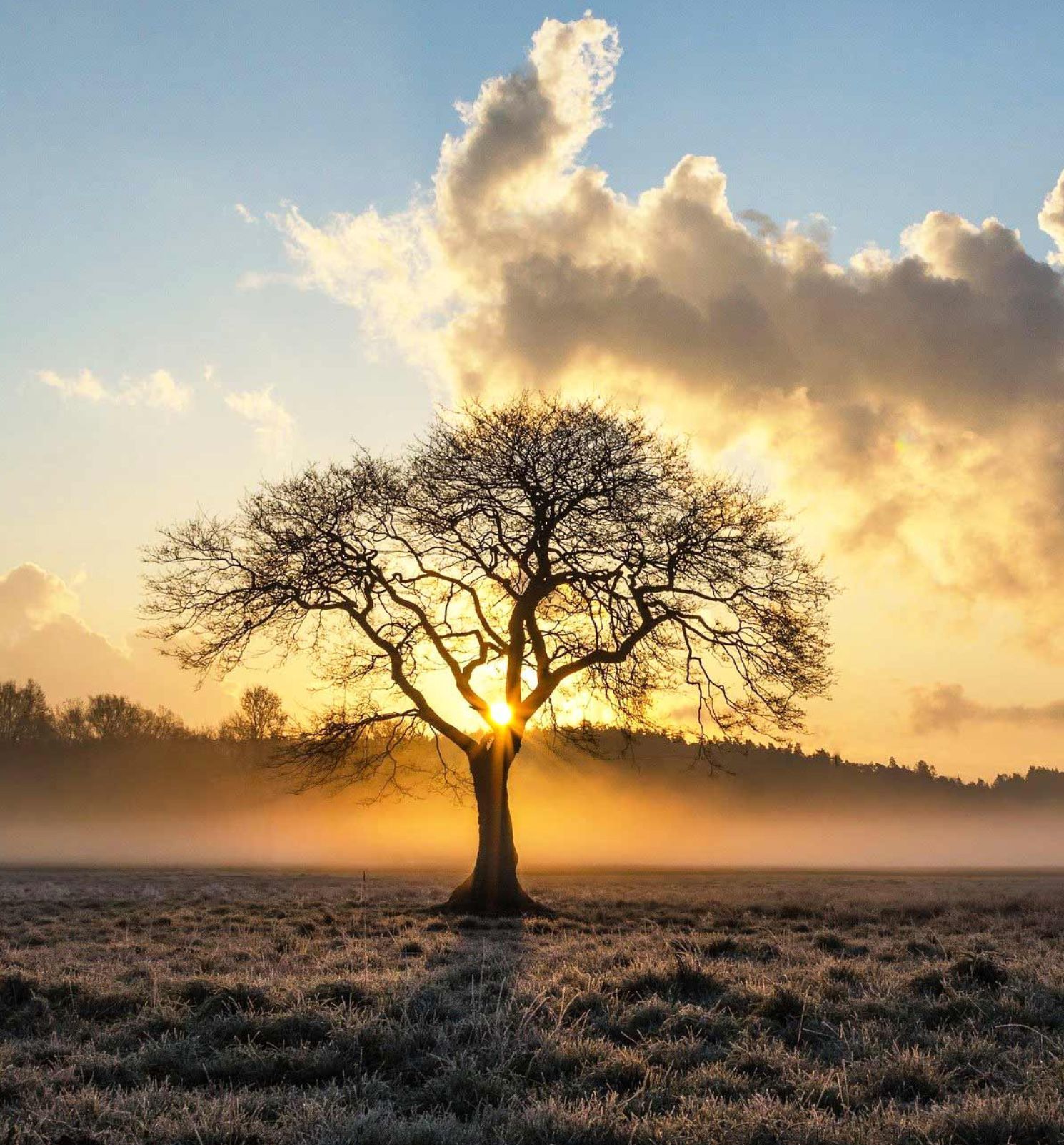 Grundsstücke gesucht