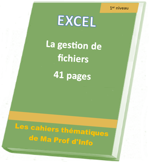 Pour tout savoir sur les formats et les propriétés des classeurs Excel - La gestion de fichiers