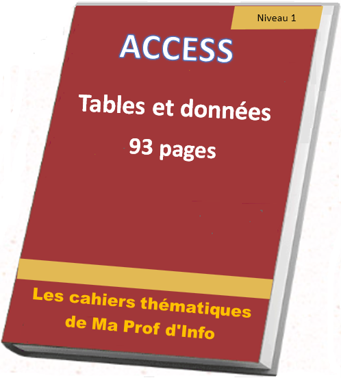 Comment saisir et paramétrer les données d'une base de données ACCESS Access - Tables et données