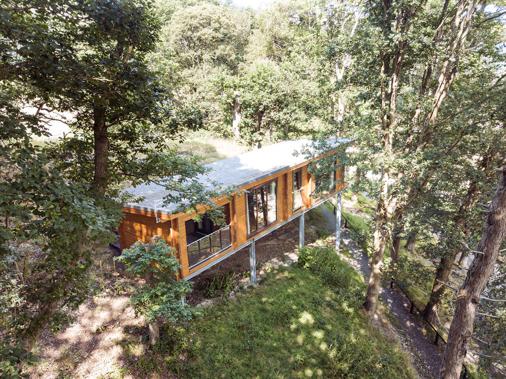 Hill House EX150 Family Log Home