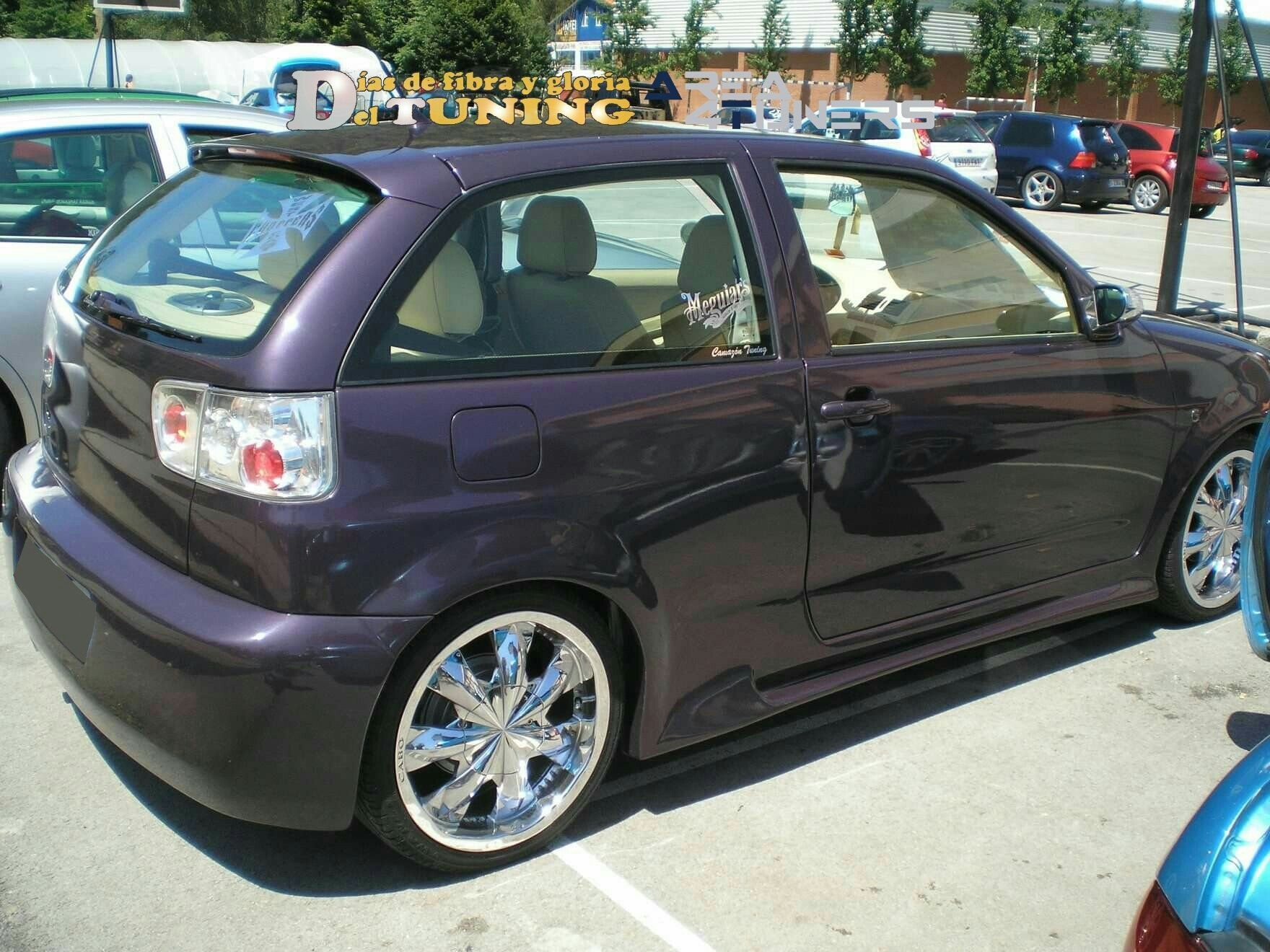 Concentración Tuning 2008 Cabezón De La Sal