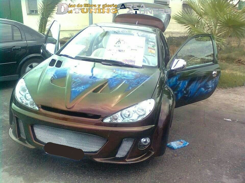 Concentración Tuning 2009 Saucedilla