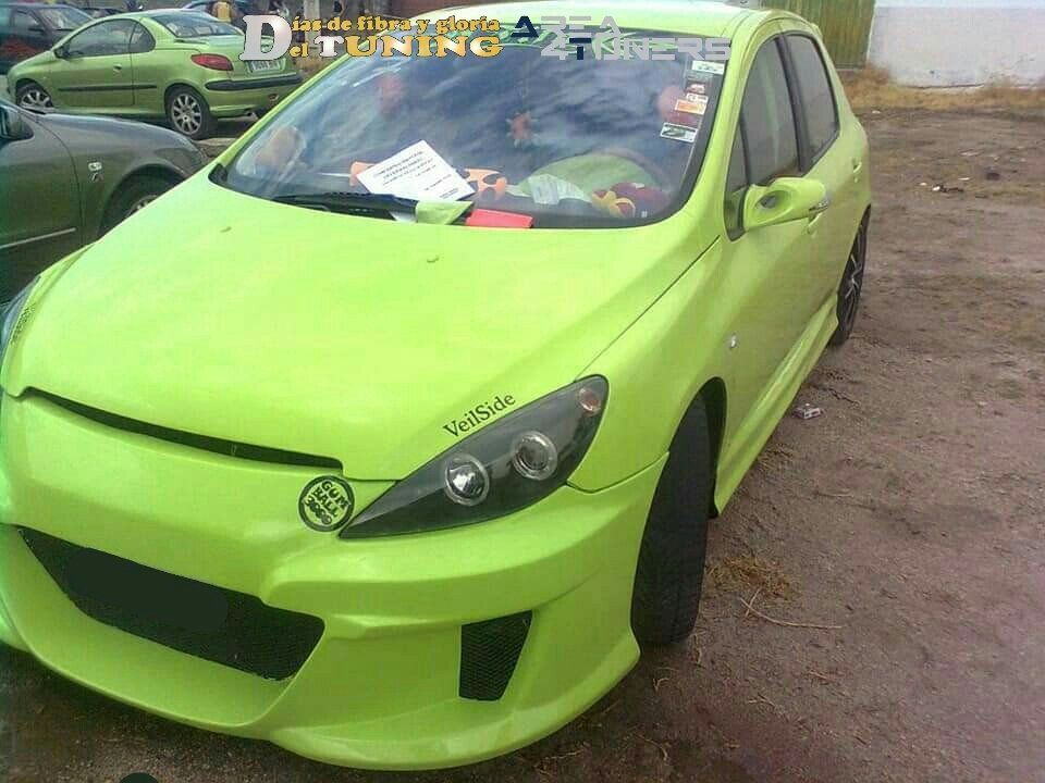 Concentración Tuning 2009 Saucedilla