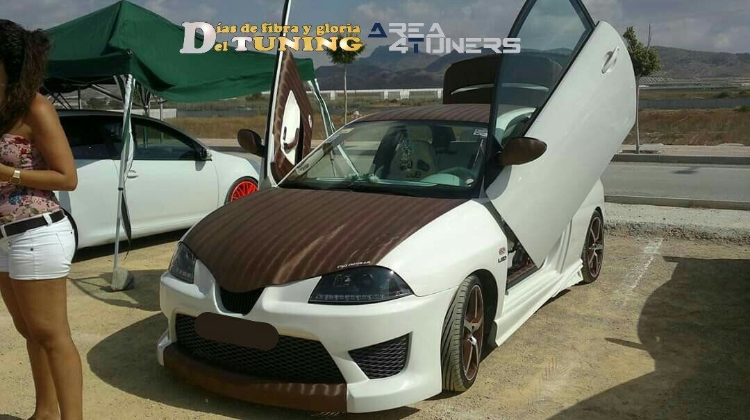 Concentración Tuning 2013 Mazarrón