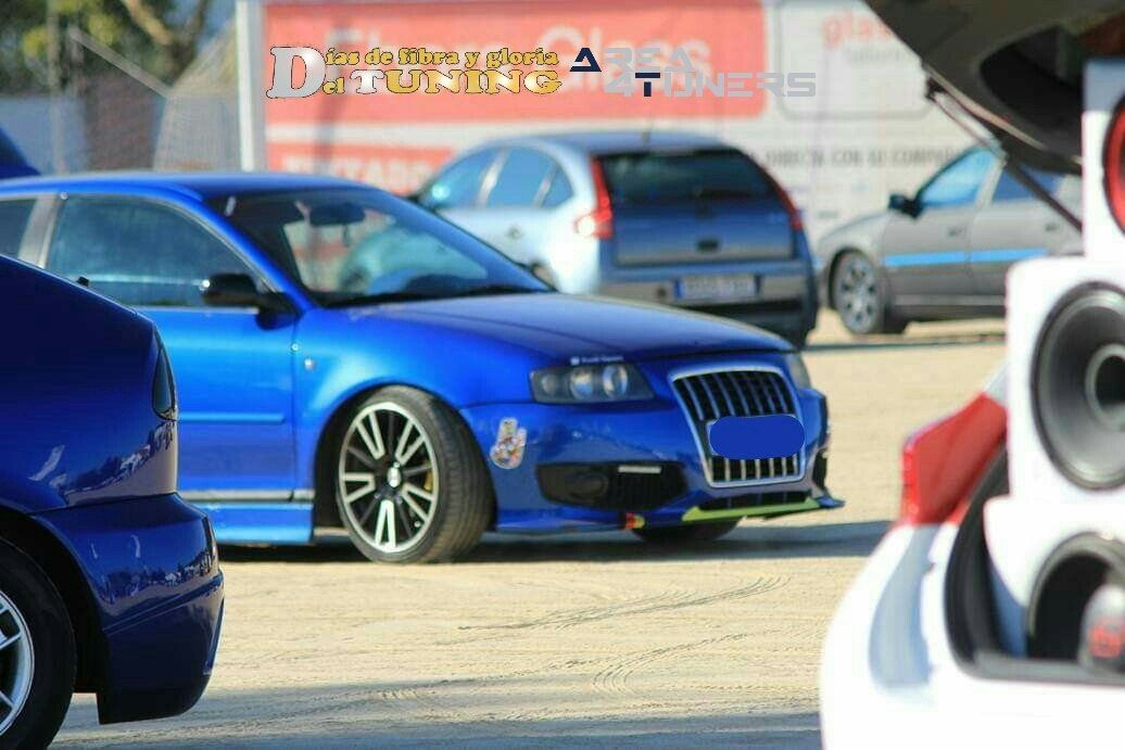 Concentración Tuning 2014 Talavera La Nueva