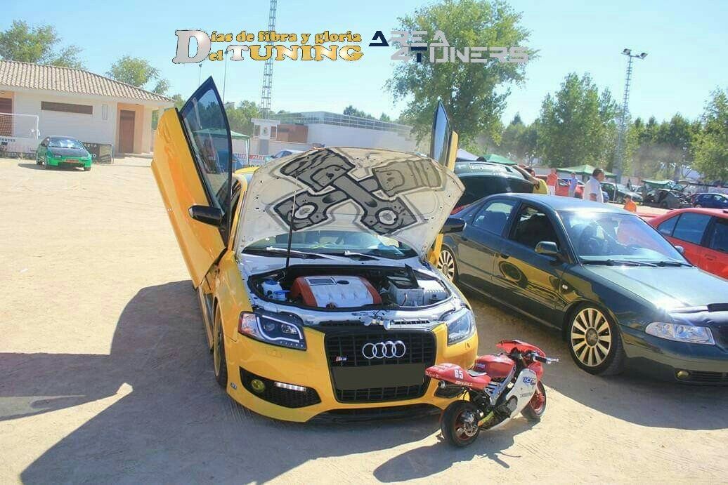 Concentración Tuning 2014 Talavera La Nueva