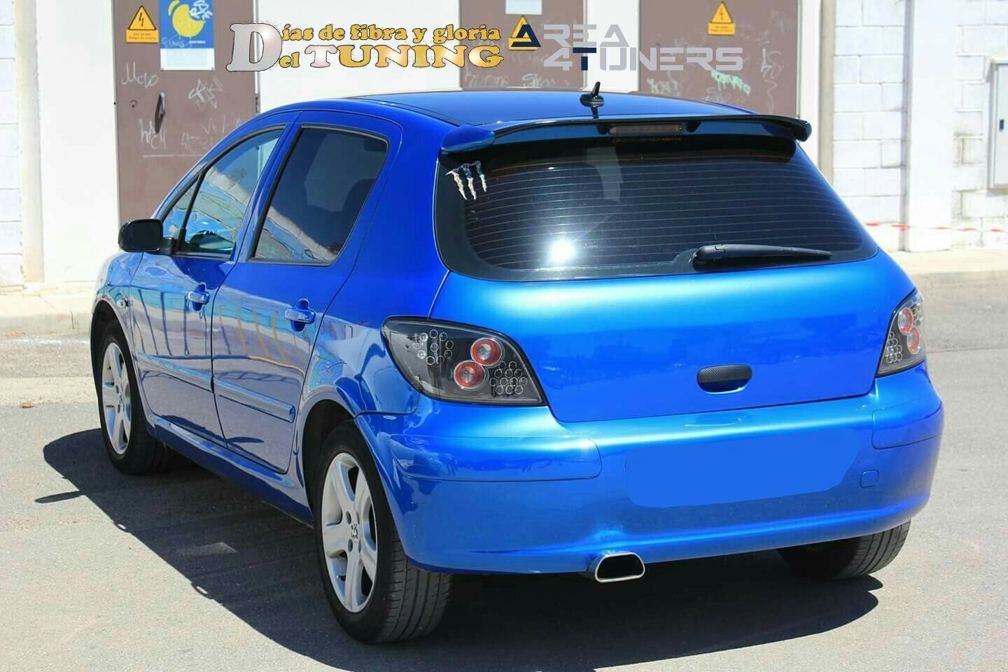 Concentración Tuning 2014 Herencia