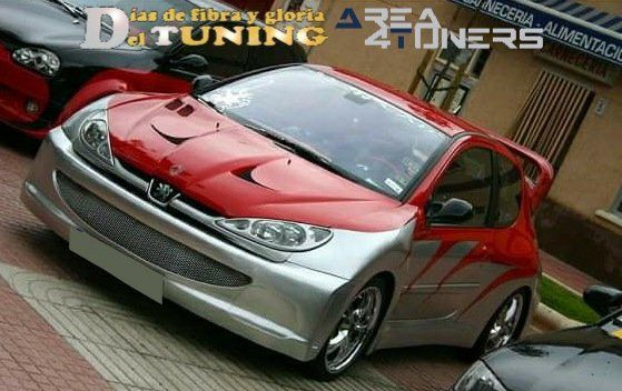 Concentración Tuning 2007 Garapinillos