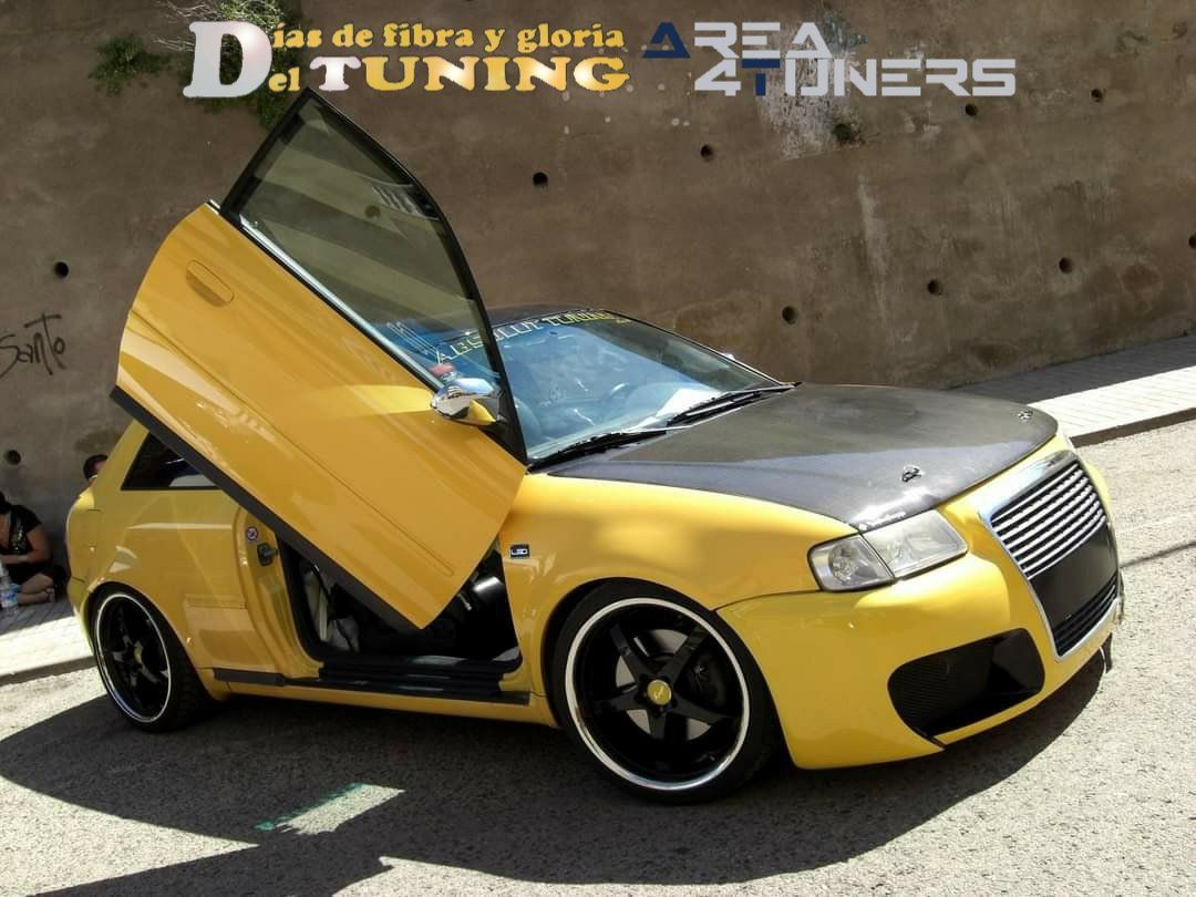 Concentración Tuning 2008 Calig