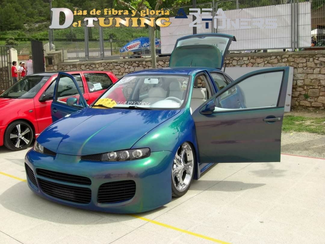 Concentración Tuning 2008 Tivissa