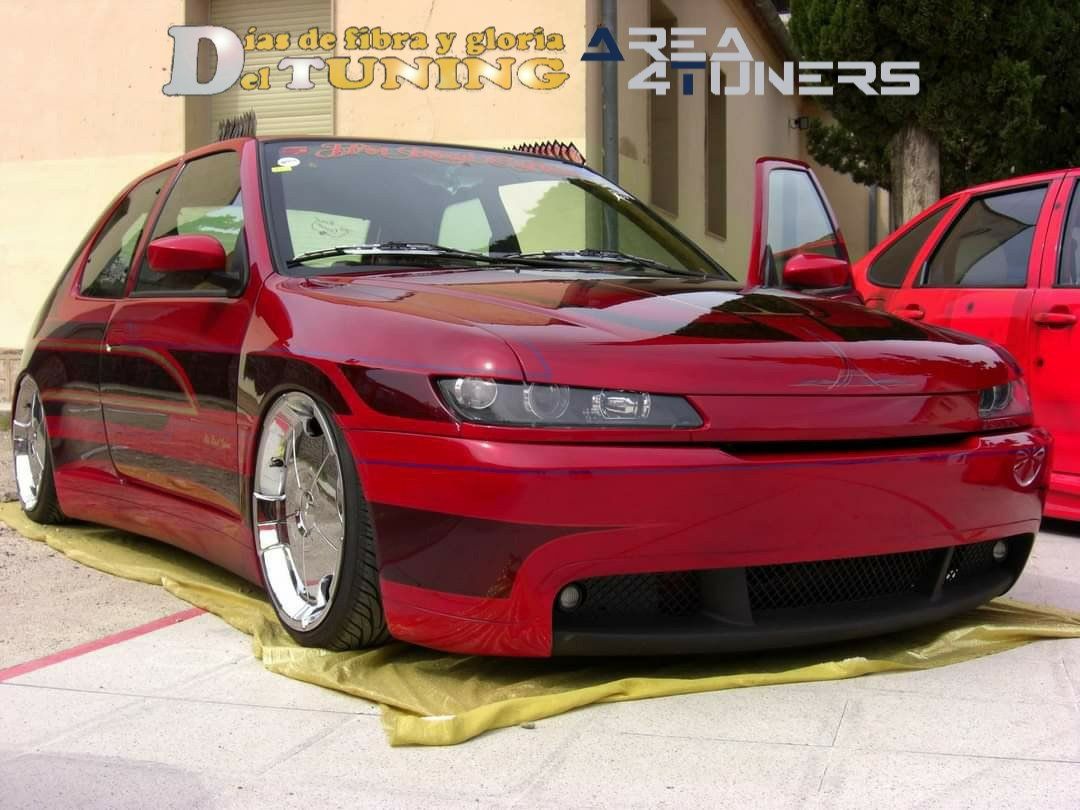 Concentración Tuning 2008 Tivissa