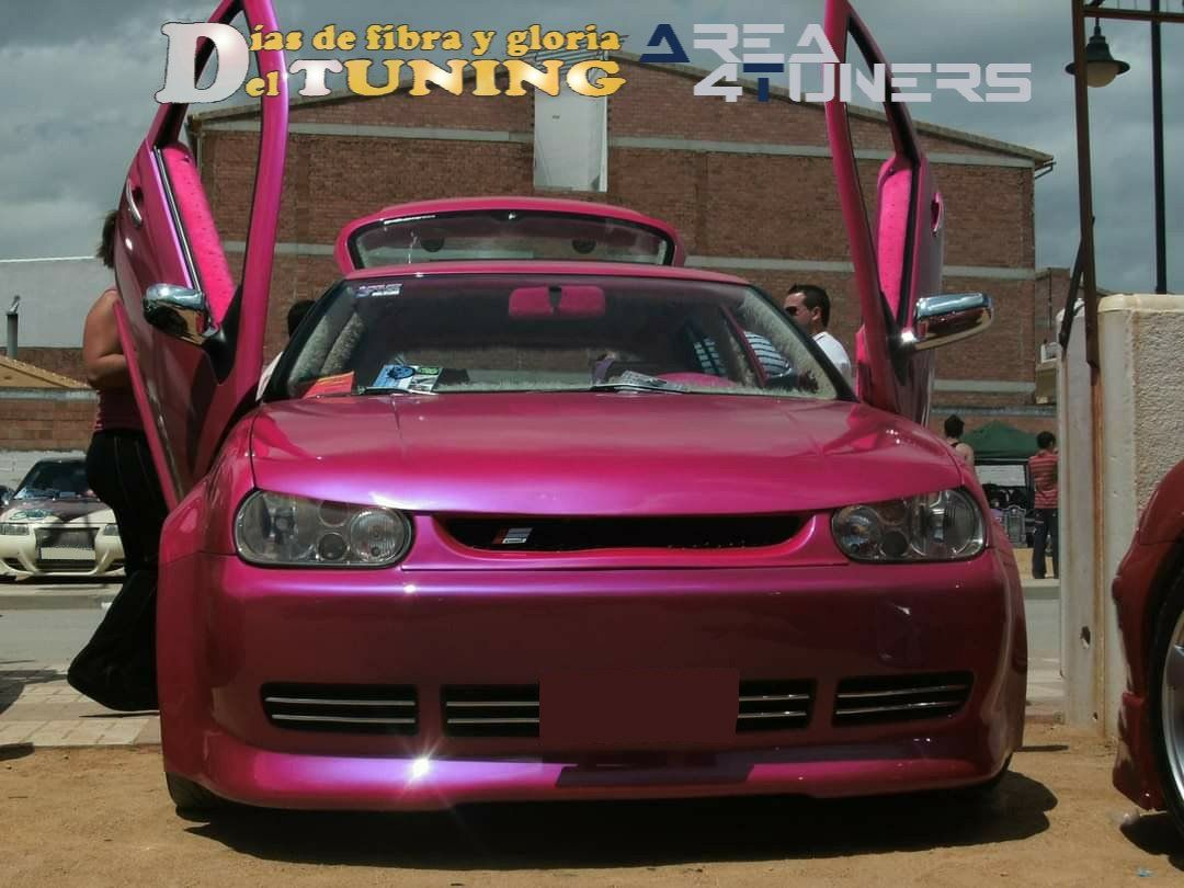 Concentración Tuning 2009 Benameji
