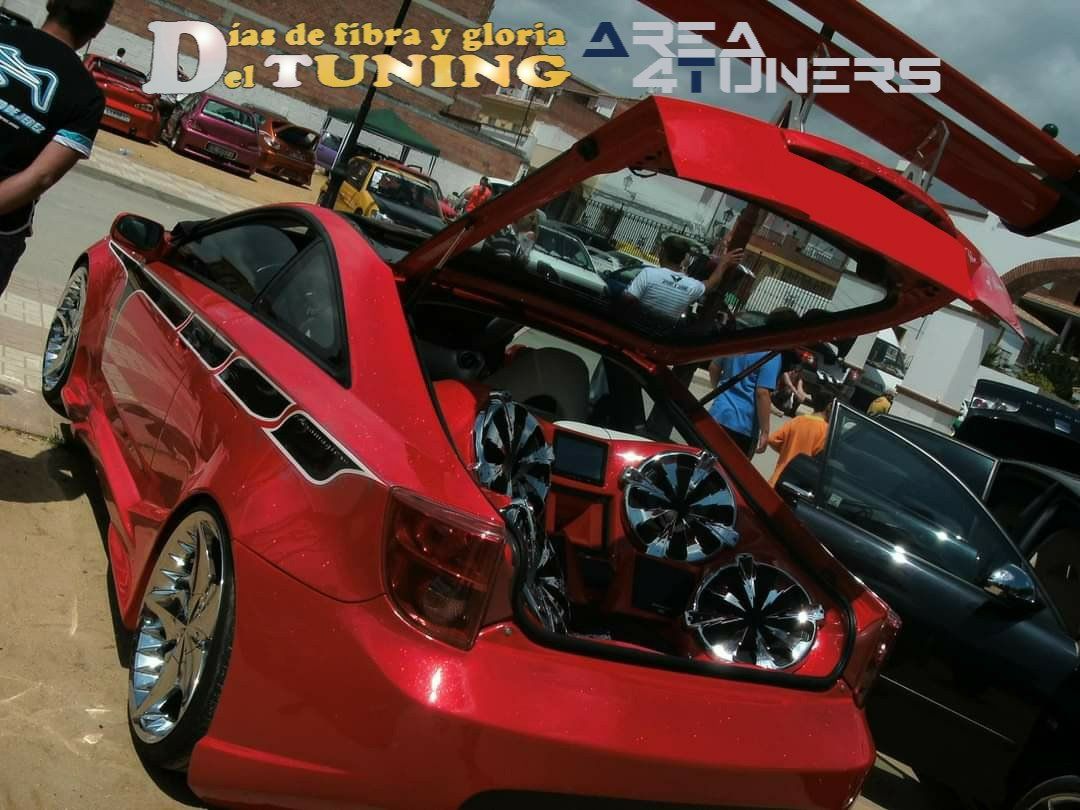 Concentración Tuning 2009 Benameji