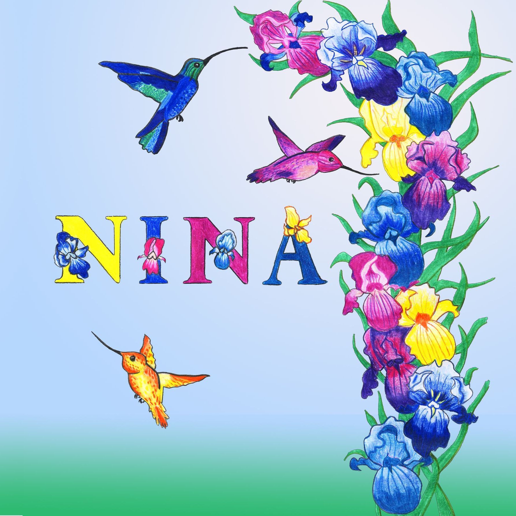 Bunte Kolibris in schillernden Tönen vor bunten Blumen, perfekt für Naturliebhaber.