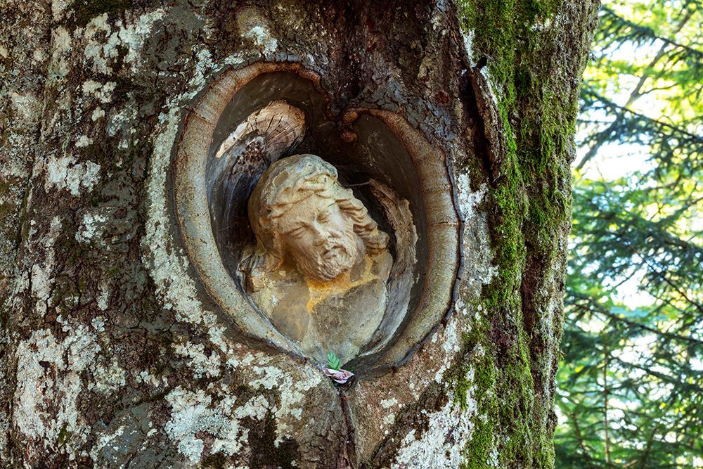 Quelle: Juergen Wiesler - stock.adobe.com