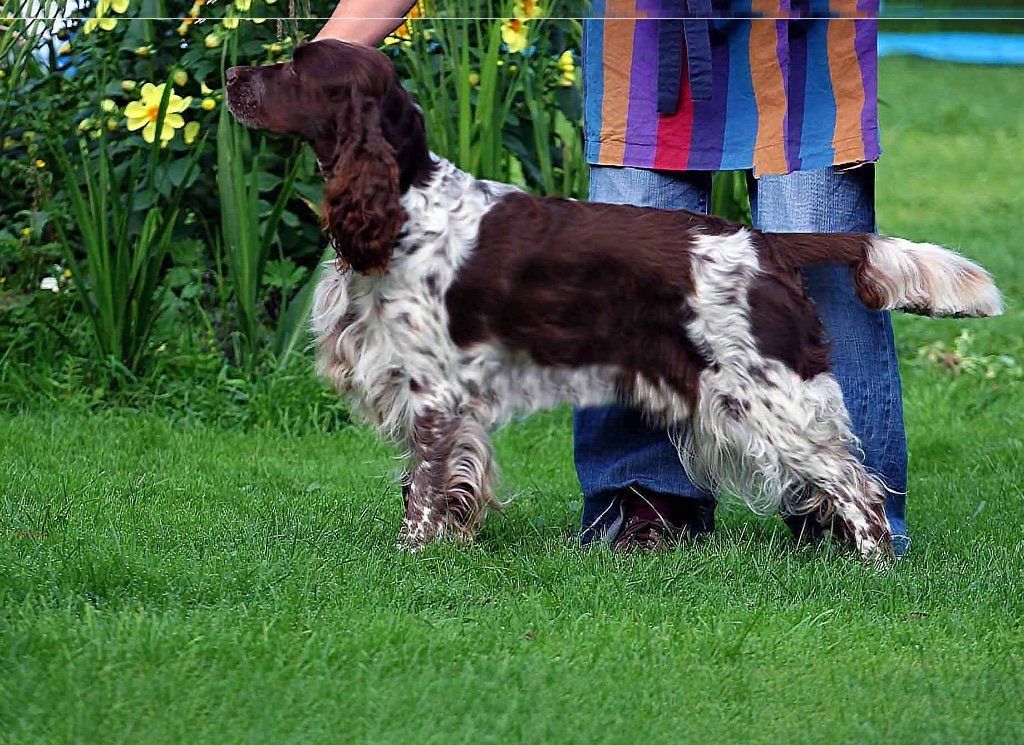 Springfield's Debbie Delilah