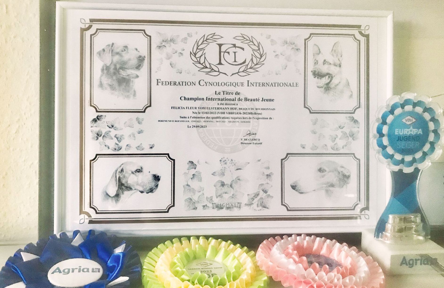 Champion International de Beaute Felicia Fleur vom Elstermann Hof