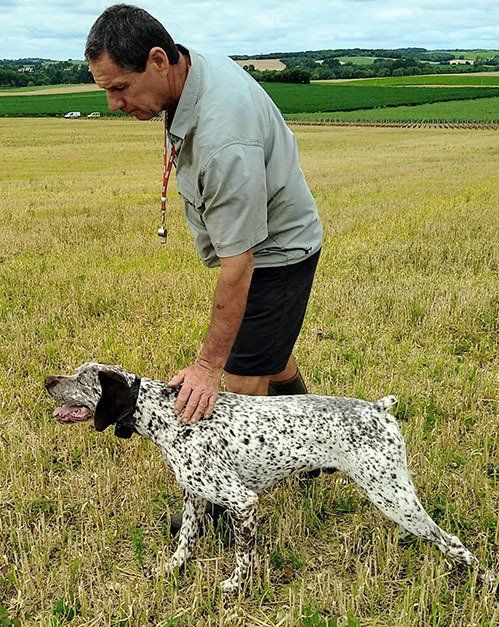 NESTOR DE LA BENIGOUSSE ( A ).
Hawaî de la Bénigousse.A. x Farouk des Pech Gros.A.
VAINQUEUR DE L' OPEN DE FRANCE GIBIER TIRE 2021
CHAMPION INTERNATIONAL DE TRAVAIL
CHAMPION TRAVAIL PRINTEMPS PERDREAUX NATURELS
CHAMPION TRAVAIL GIBIERS NATURELS
CHAMPION TRAVAIL GIBIER TIRE
LAUREAT CHALLENGE BECASSINE