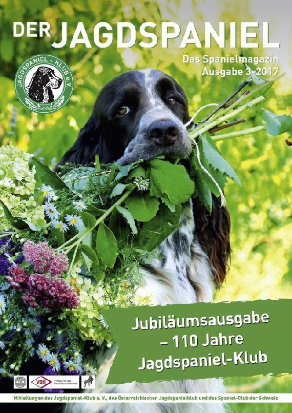 Der Jagdspaniel Springfield's Emma Peel