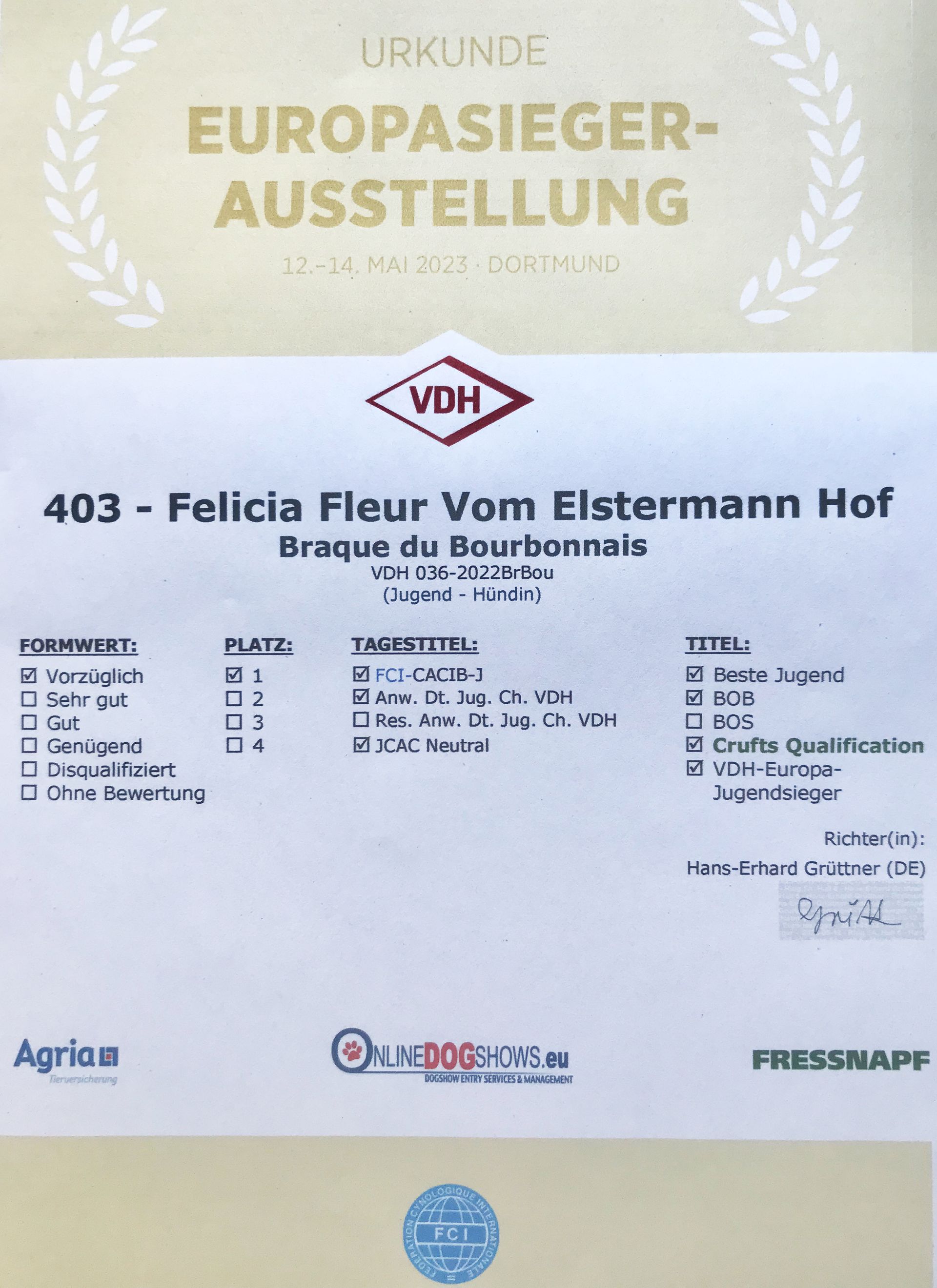VDH Europajugendsieger Felicia Fleur vom Elstermann Hof
