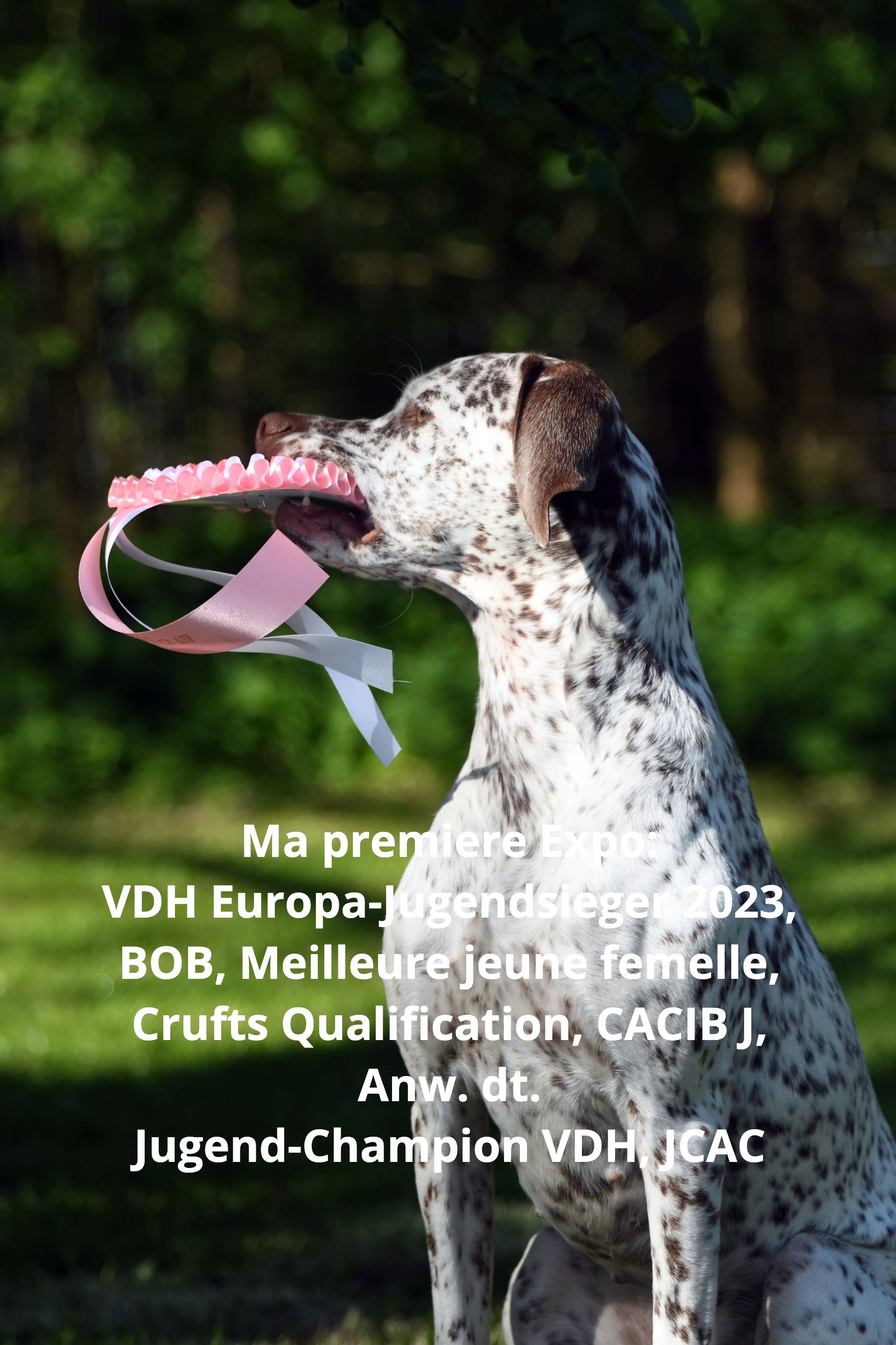 VDH Europa-Jugendsieger 2023 - Felicia Fleur vom Elstermann Hof