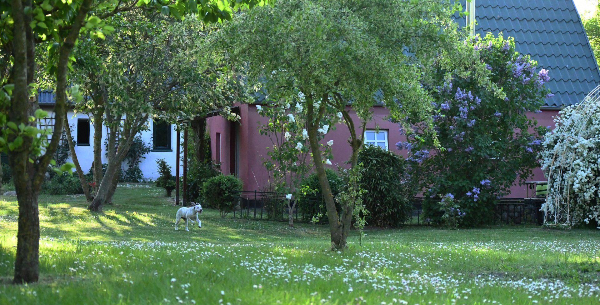 Garten Vorpommern