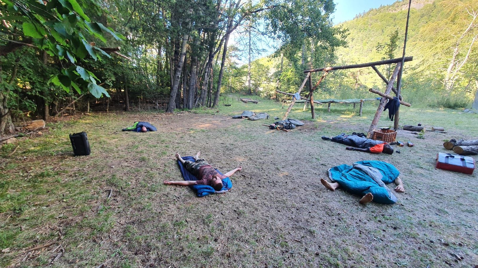 reveil repos du guerrier nature