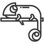 Cameleon Survivor Attitude s'adapte en survie