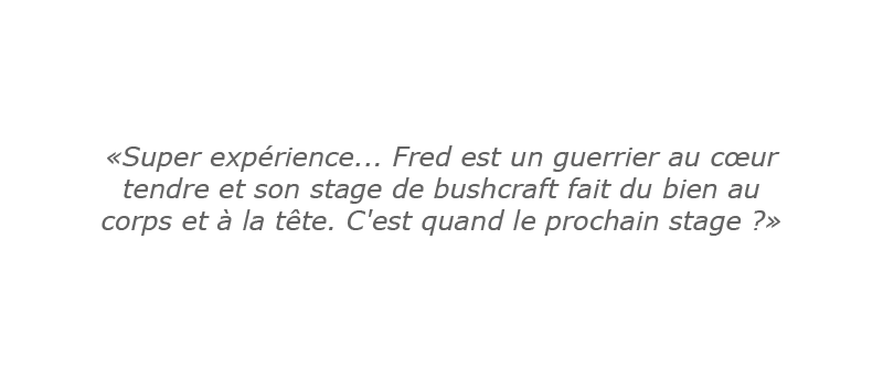 Avis Survivor Attitude 1