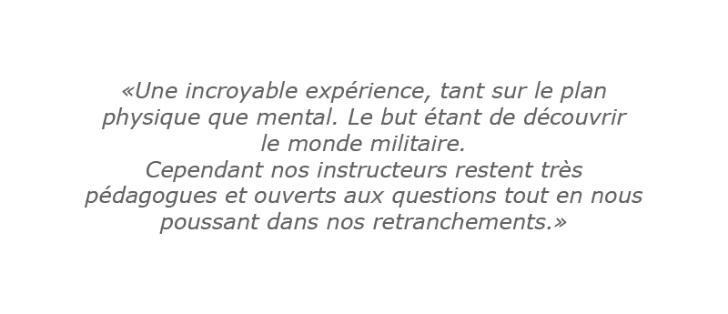 avis survivor attitude 2