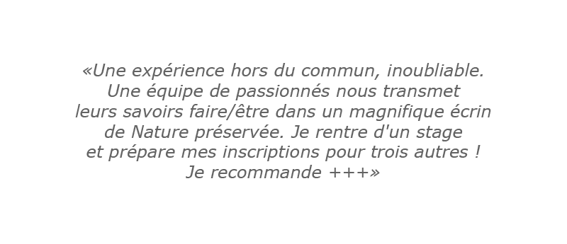 Avis Survivor Attitude 3