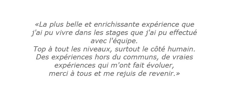 Avis Survivor Attitude 4