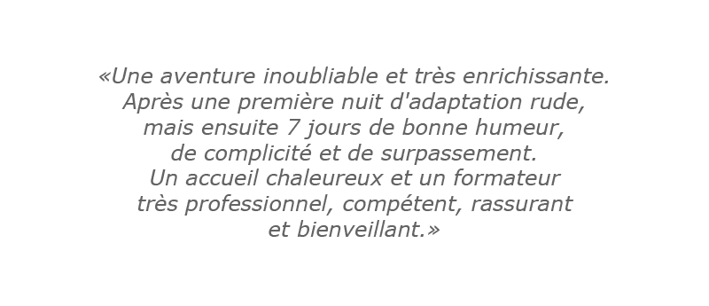 Avis Survivor Attitude 5