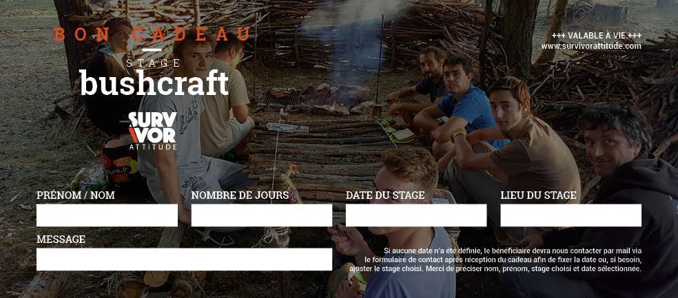 stage bushcraft