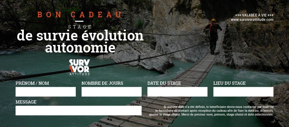 bon cadeau stage de survie évolution autonomie