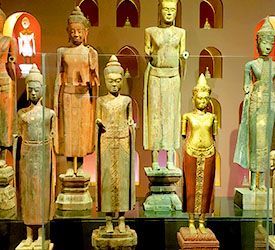 photo groupe jungle stage