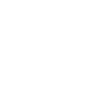 boussole icon