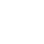 chaussures de marche icon
