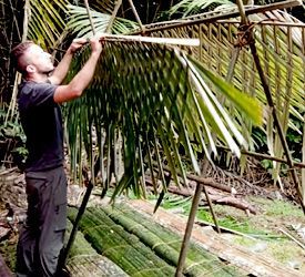 abri jungle feuilles