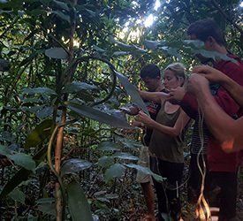 faire des noeuds stage survie