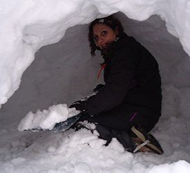 igloo survie