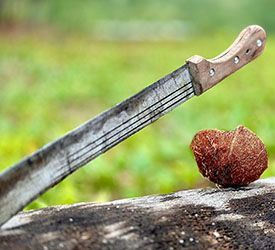machette noix de coco