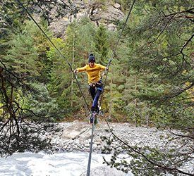 se dépasser pont singe