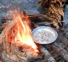 feu de camp vers