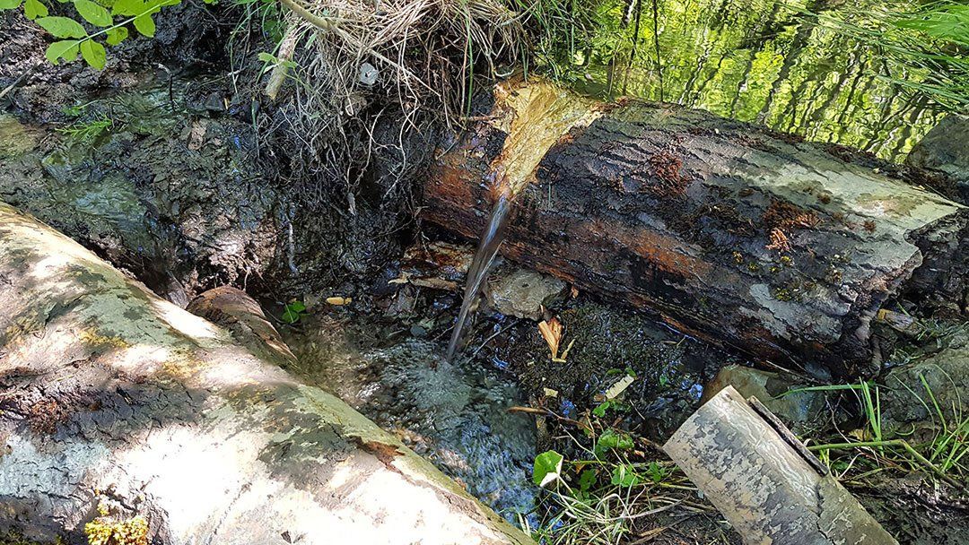source d'eau survie