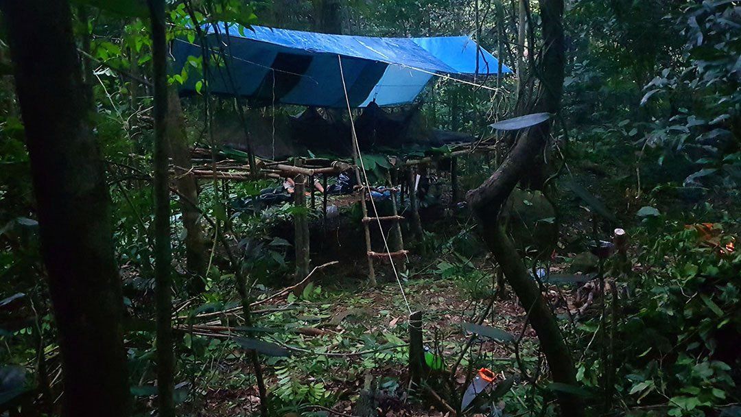 carbet jungle