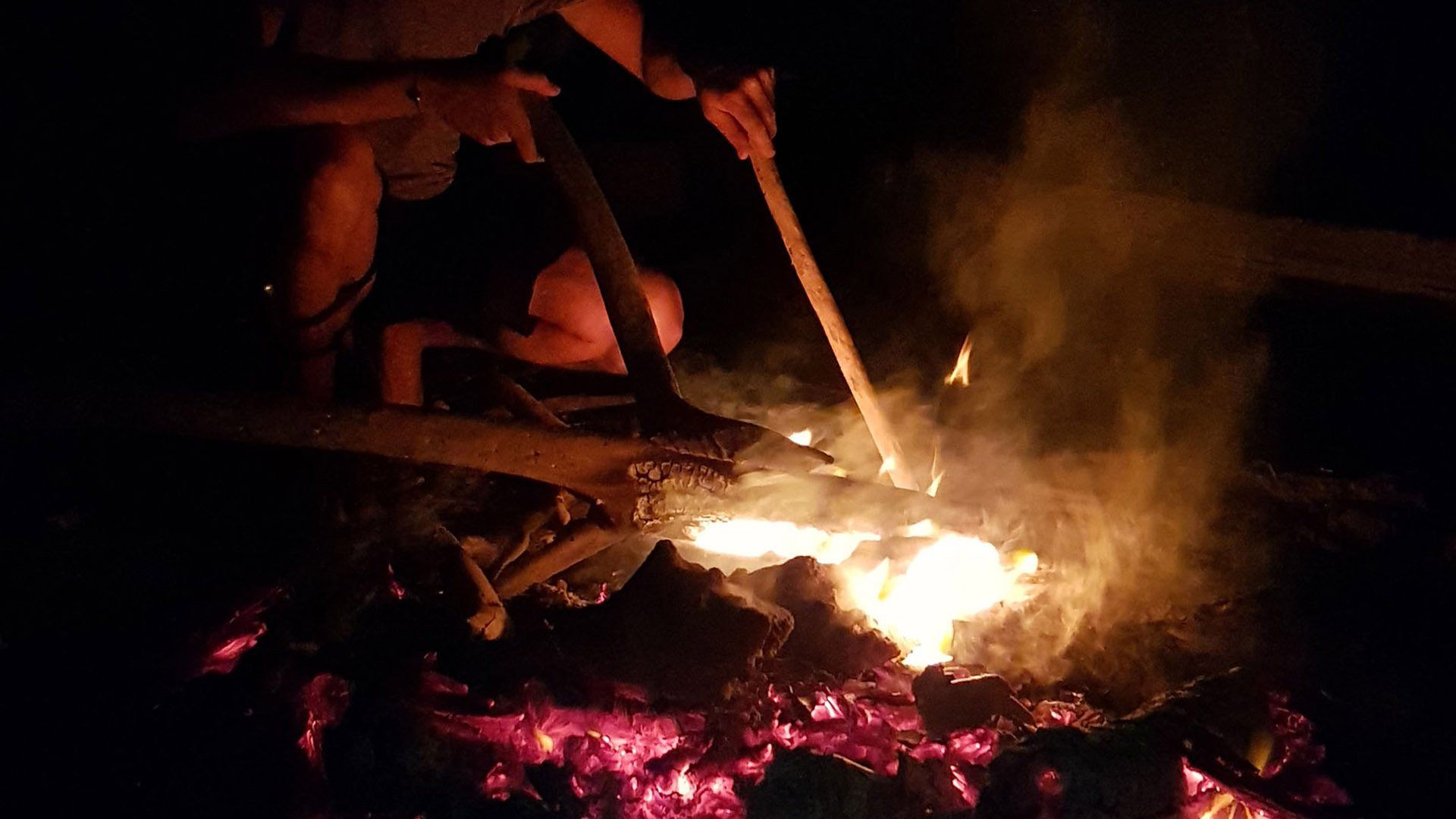 feu de camp jungle