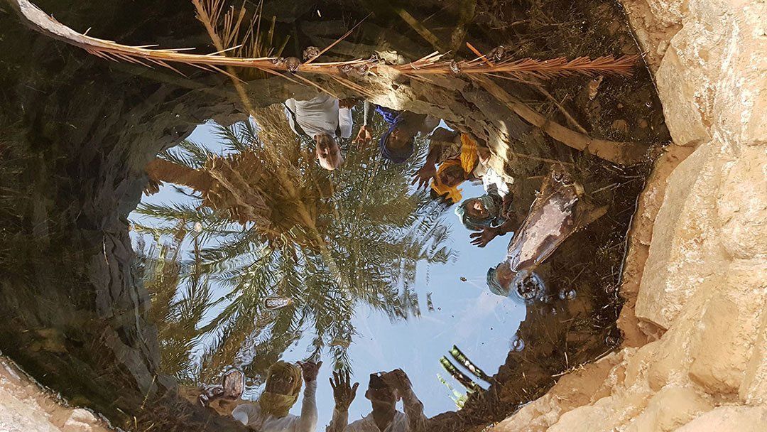 oasis sacrée désert