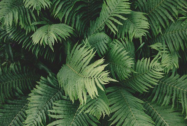 Emission sur la survie M6 Survivor Attitude