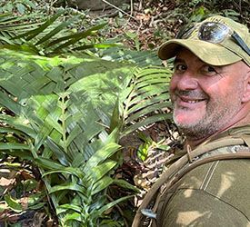 tressage de feuilles